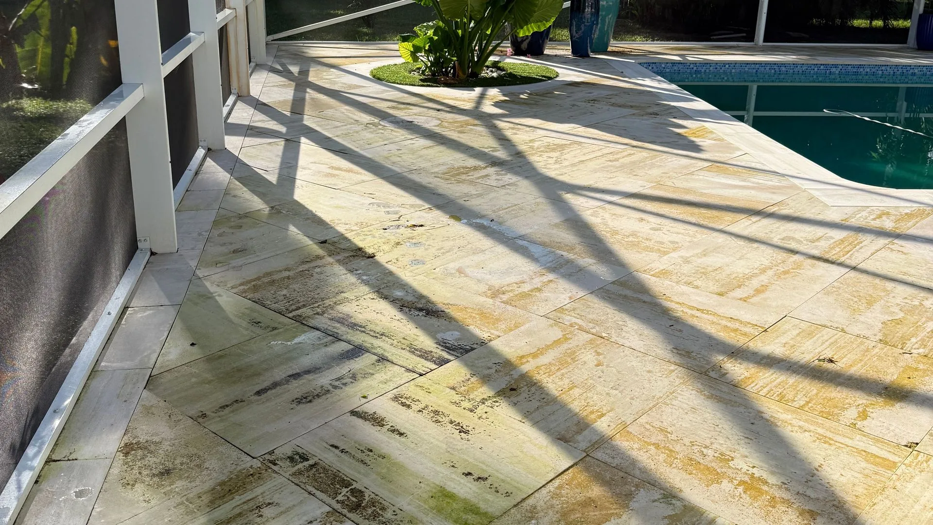 Before: travertine pool deck stained green and brown under a screen enclosure